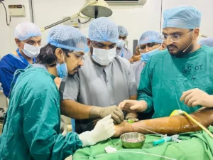 Workshop on Comprehensive Endovenous Laser Ablation and Laser Proctology