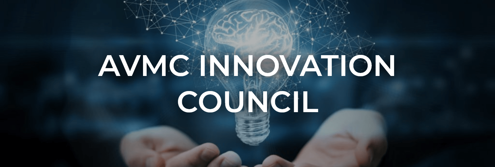 AVMC Innovation Council