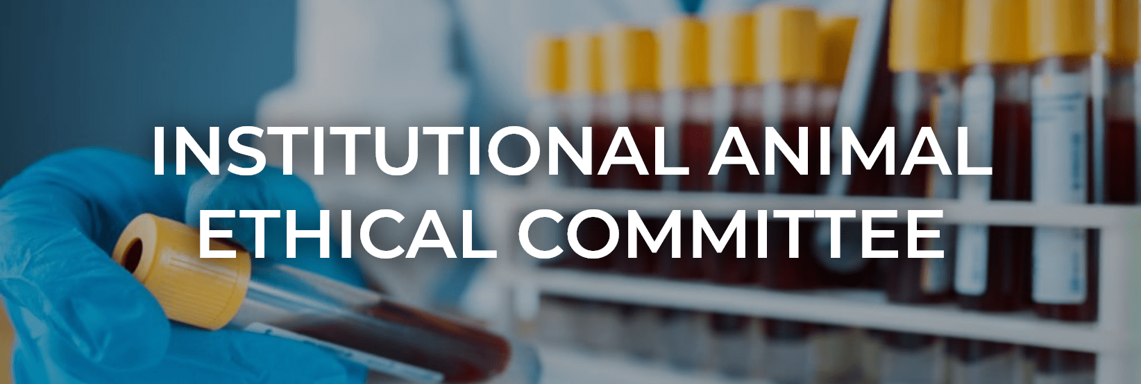 Institutional animal ethical committee